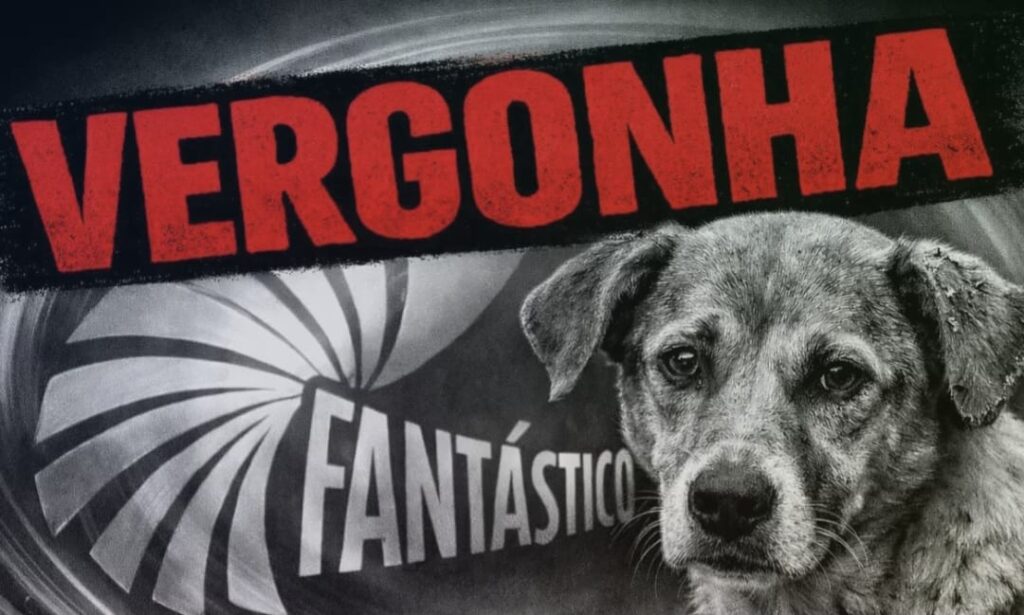 fantastico-nao-conta-toda-verdade-sobre-os-fatos-do-cachorro-orelha-1024x615 Jornalismo, silêncios e a sensação de enganação