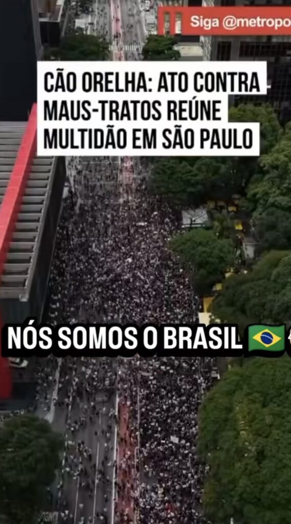 manifestacao-cao-orelha-sao-paulo-2026-569x1024 Jornalismo, silêncios e a sensação de enganação